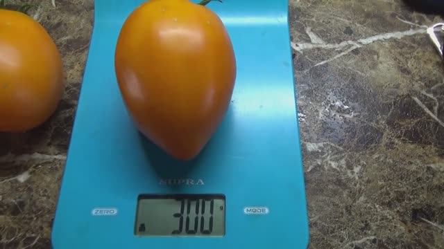 Томат Манго Виладж - вкусный, сладкий, красивый! № смотреть онлайн