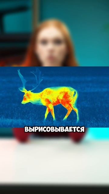 ДАЛЬНОСТЬ ТЕПЛОВИЗОРА ЗАВИСИТ ОТ NETD? #тепловизор #охота #тепловизордляохоты #оружие #патрон смотреть онлайн