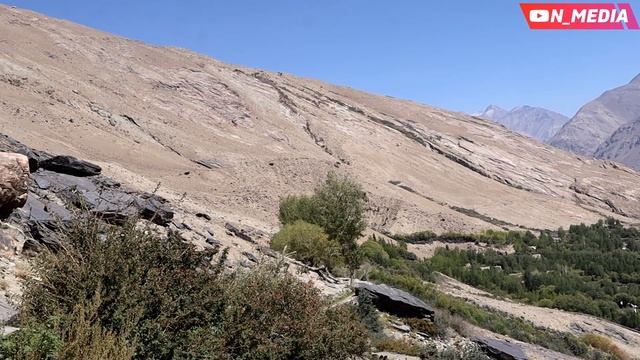 СУРАЧИ М ШИРГИН