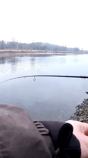 Мекка весеннего спиннинга. Любители отводных в одном месте #fishing, #окунь смотреть онлайн