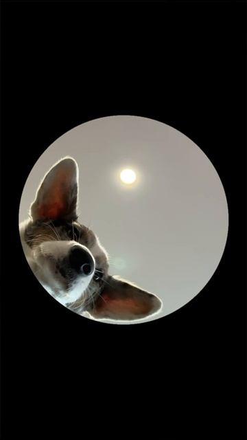 Танцую на свое ДР. смотреть онлайн