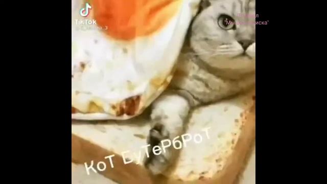 Взлом дом кино 26.04.2021г. 17:51 смотреть онлайн