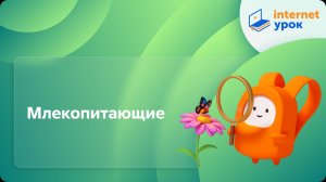 Окружающий мир 1 класс. Млекопитающие