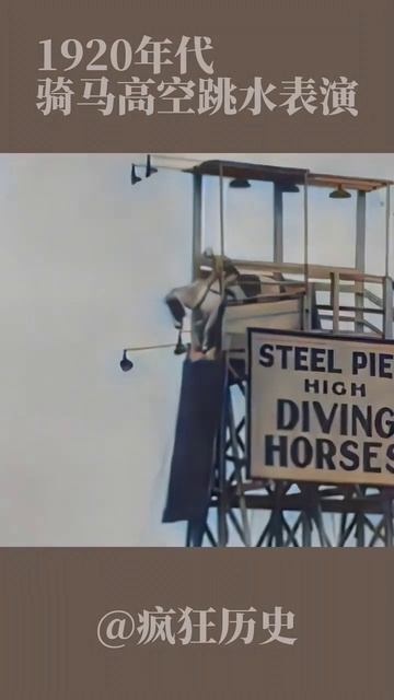 1920  Years High Diving Horses #shorts