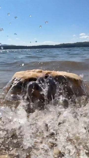 Uspomene. Augusta #srbija #поход #europeantravel #travel #serbiatravel #planinarenje #mountains смотреть онлайн