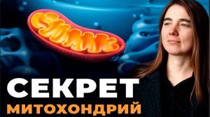 Почему вы ПРОСЫПАЕТЕСЬ УСТАВШИМИ? Всему виной это митохондрии!