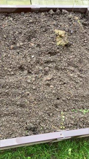 Как подготовить землю для рассады