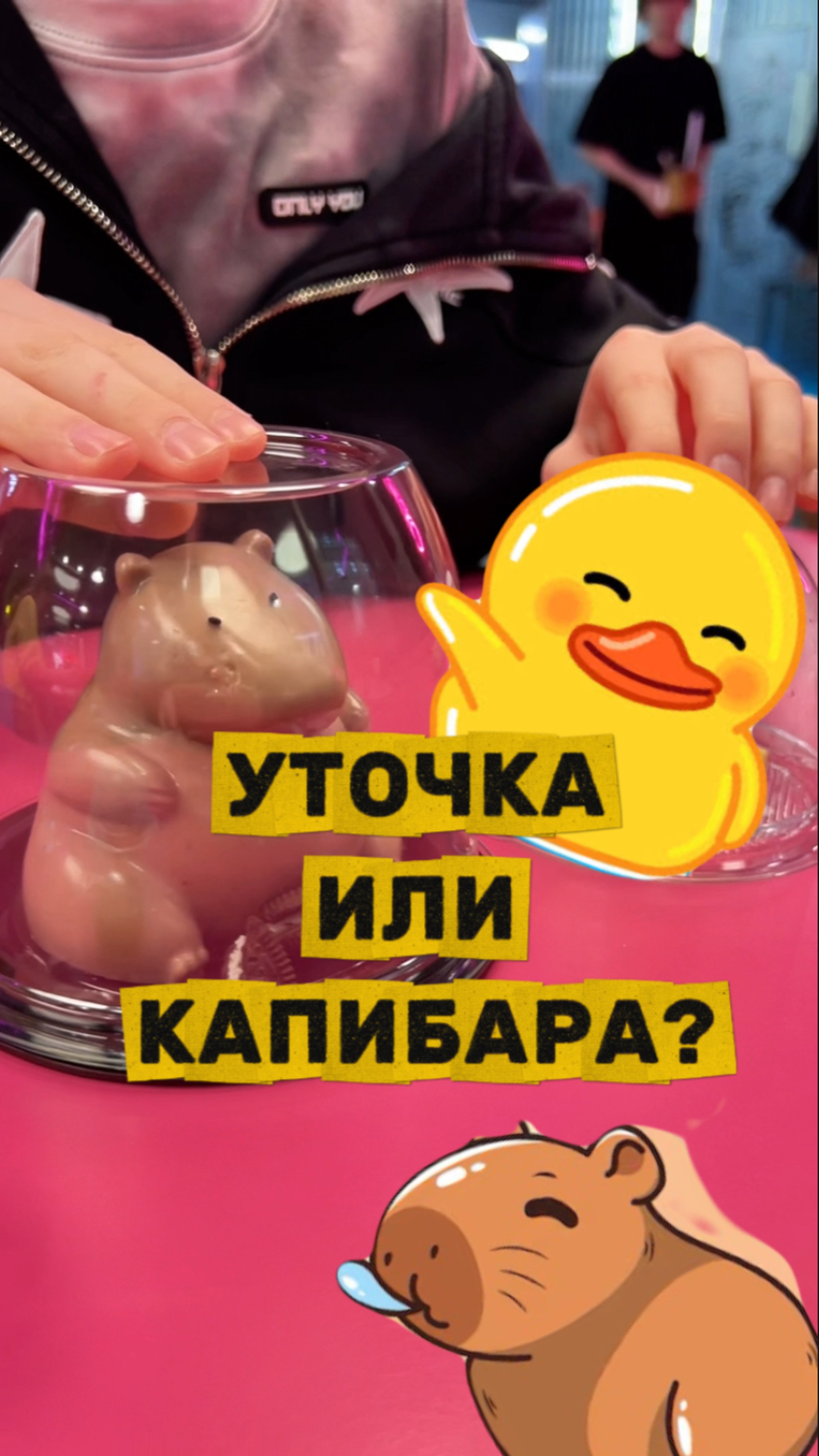 УТОЧКА ИЛИ КАПИБАРА? 😳 смотреть онлайн