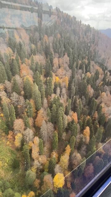 Горы в Сочи смотреть онлайн