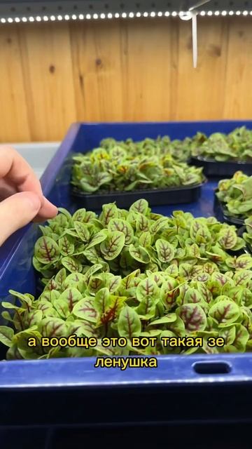 Мне говорили «ЭТО НЕВОЗМОЖНО!» смотреть онлайн