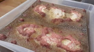 Разведение Израильского трубочника в контейнере!