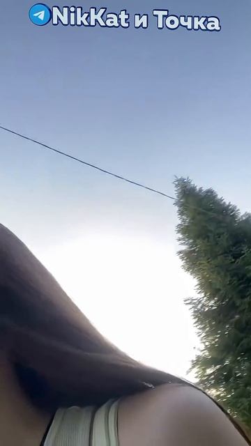 Алкаш, фото, Иран, Жиза @Буква_А |Свежие Мемы из TikTok в Shorts! #nikkat #мем #новости смотреть онлайн