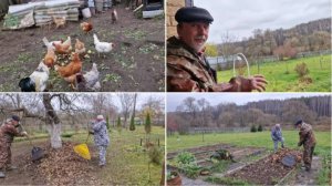 МЫ ОПЯТЬ ГРЕБЁМ И УБИРАЕМСЯ. УКРЫЛИ ЧЕСНОК.