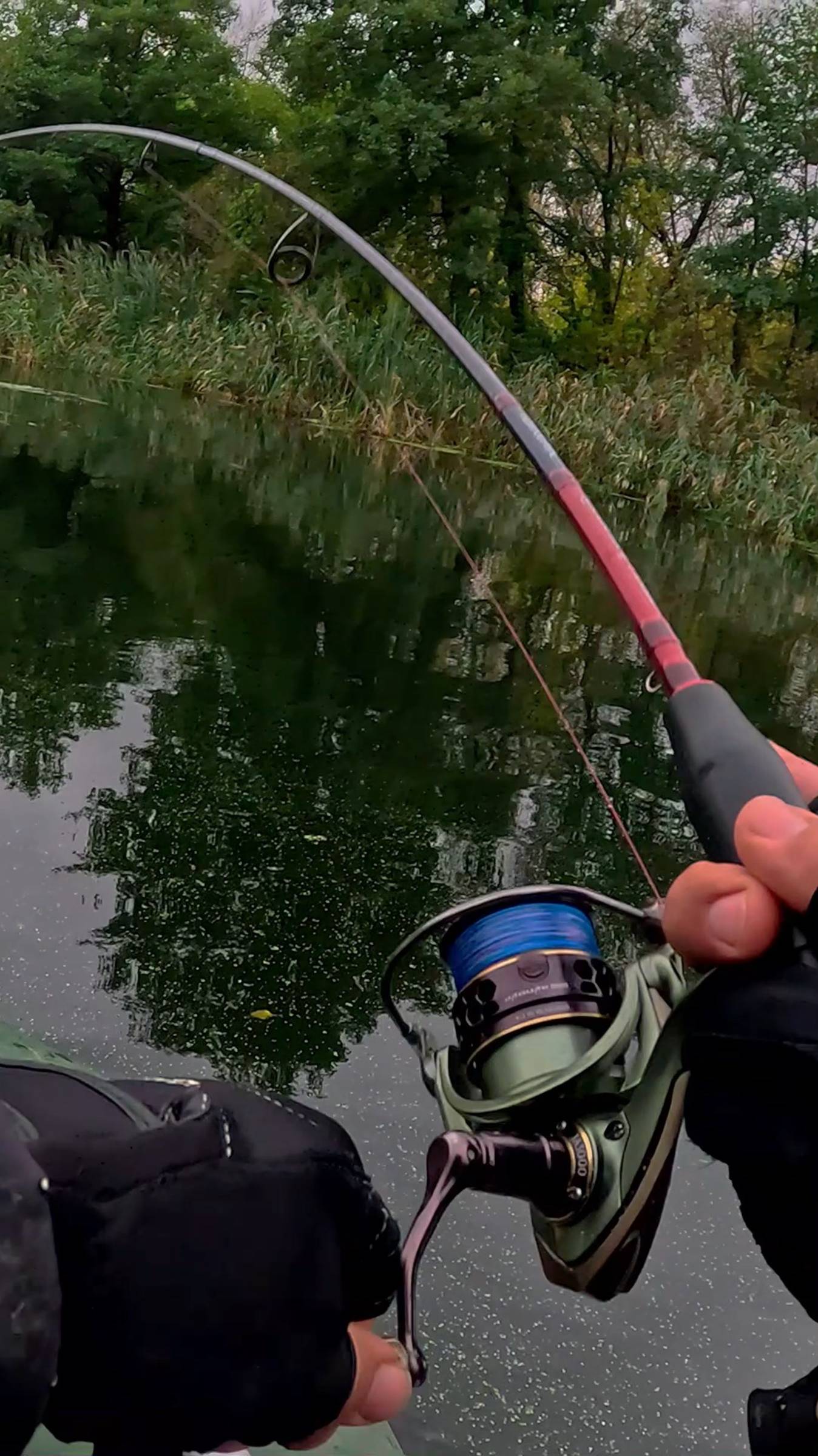 Щука использовала «Ускользание»! Это вообще законно?!🤣💪😱 #shorts #щука #рыбалка смотреть онлайн