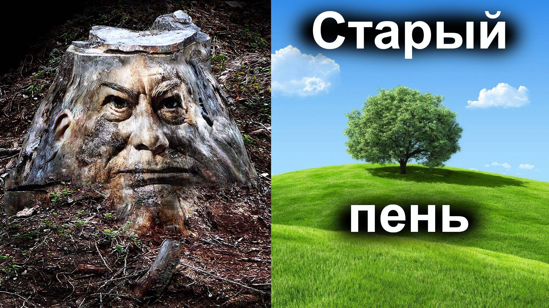 Старый пень смотреть онлайн