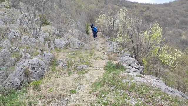 Трудности похода в Сербии. Зеленый верх 1334м (Сербия, путешествия, горы, туризм, хайкинг) смотреть онлайн