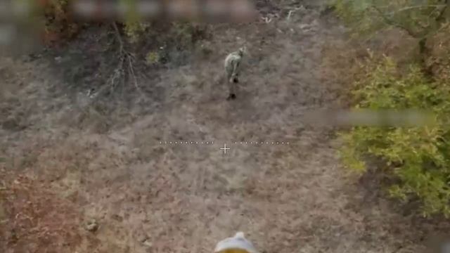 соленый зоркий глаз ВСУ высматривает бпла в небе смотреть онлайн