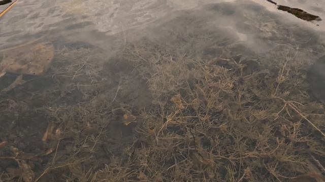 Озеро Мушан Ер, Марий эл. смотреть онлайн