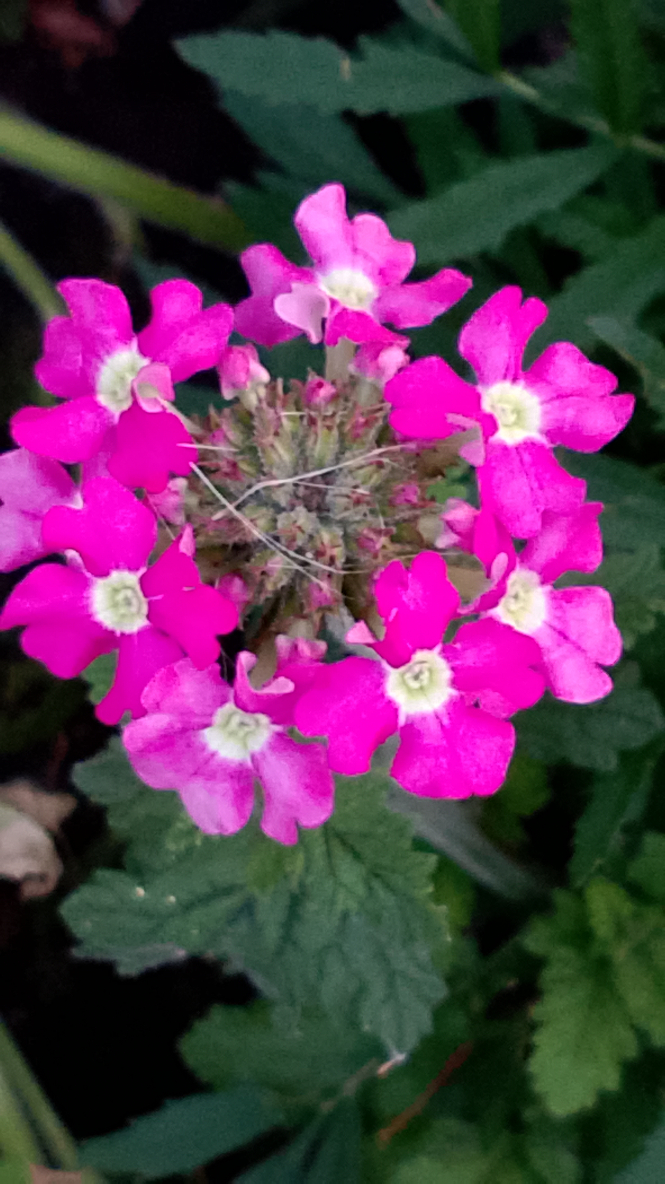 Мы, из прошлого!🌹🌸🌷 #Людииблоги смотреть онлайн