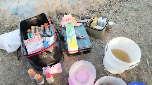 07.11.2025 Херабуна