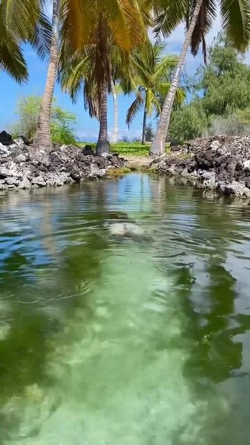 Вода юга смотреть онлайн