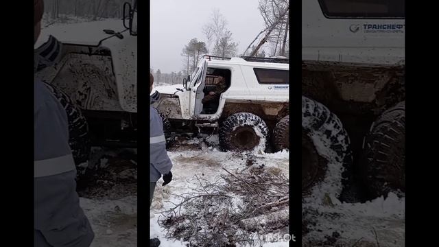 вездеход Литвина