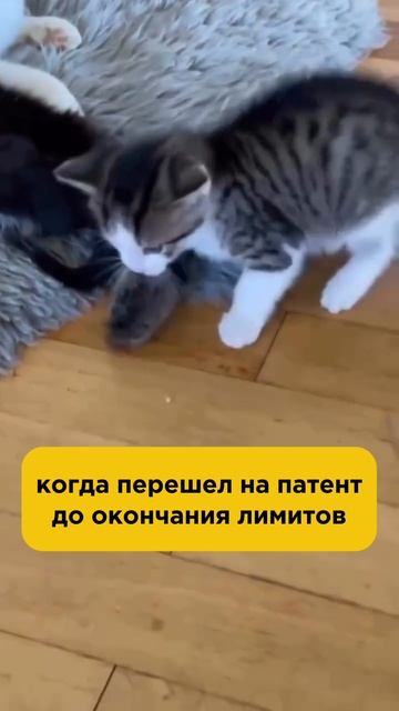 Блокировка в такси из-за лимитов