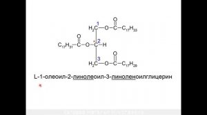 ЛЕКЦИЯ 3. ВЖК. ЛИПИДЫ