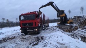 Всем Лесовозам (Анатолий Полотно и Макс Вертиго)