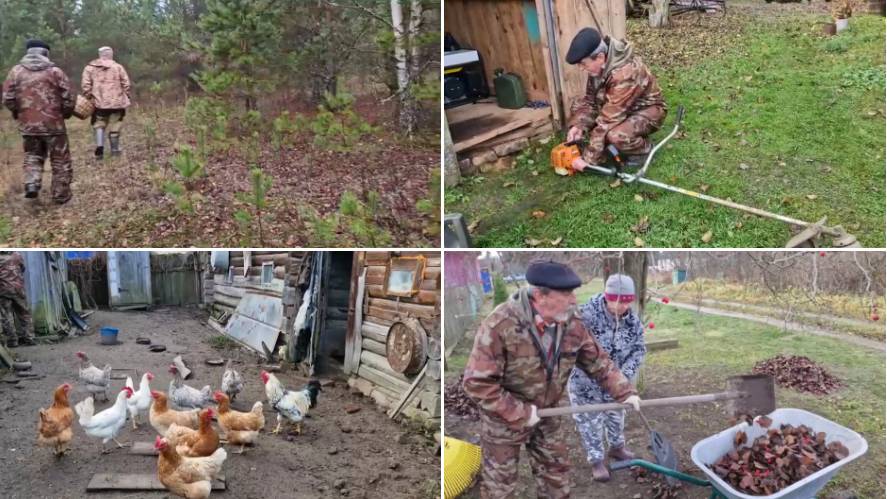 ЕЗДИЛИ В ЛЕС И НАВЕЛИ ПОРЯДОК ВОЗЛЕ ДВОРА. смотреть онлайн