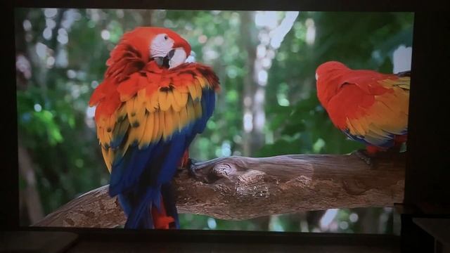 ПРОЕКТОР С ПОЛНЫМ ФАРШЕМ ЗА 6000 Everycom R16