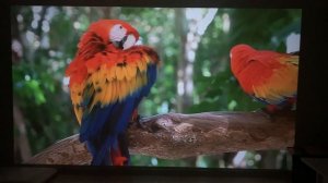 ПРОЕКТОР С ПОЛНЫМ ФАРШЕМ ЗА 6000 Everycom R16