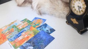 Вы не в силах на это повлиять! Чему суждено сбыться?