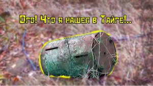 Как приманить медведя и