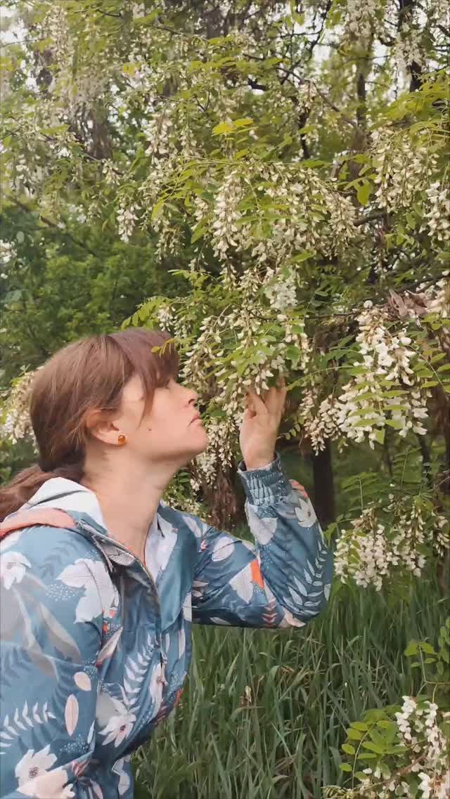 Цветение акации #цветы #природолечение #путешествия смотреть онлайн