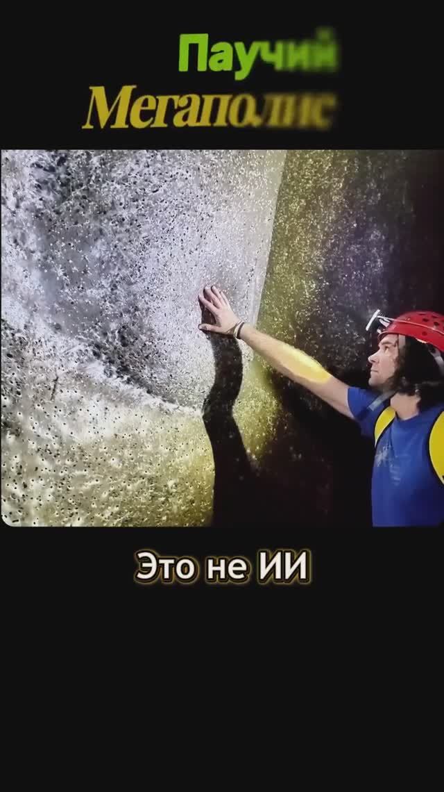 ПАУЧИЙ МЕГАПОЛИС смотреть онлайн