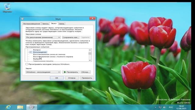 Windows 8 Release Preview (build 8400) последняя Windows с гаджетами и Aero