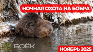 Ночная охота на бобра с карабином СКС и тепловизором SFH VARG 35RL | Реальные кадры