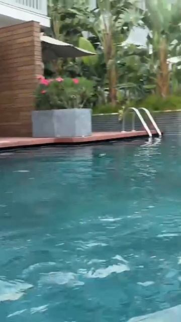 Это у меня вывыливаются смотреть онлайн