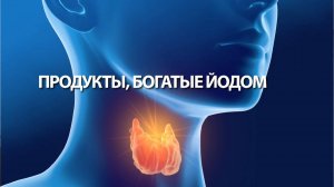 Продукты, богатые йодом