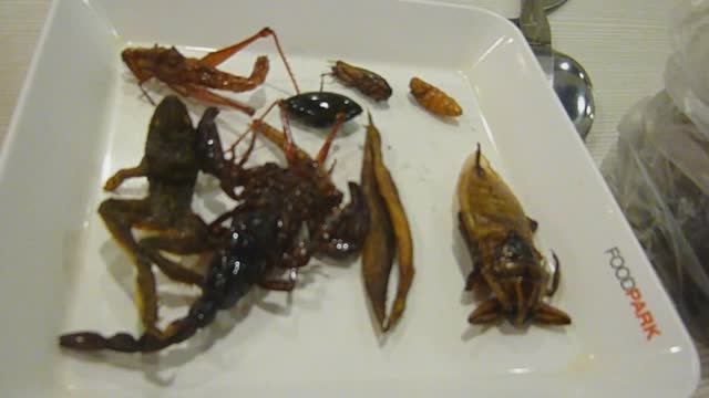 Поедание насекомых в Таиланде. смотреть онлайн