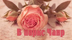 В парке Чаир