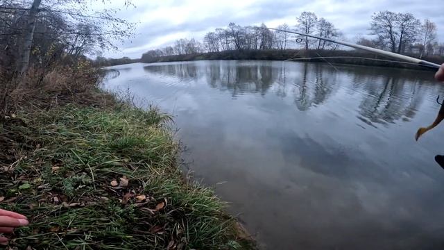 Осенний джиг на малой реке смотреть онлайн