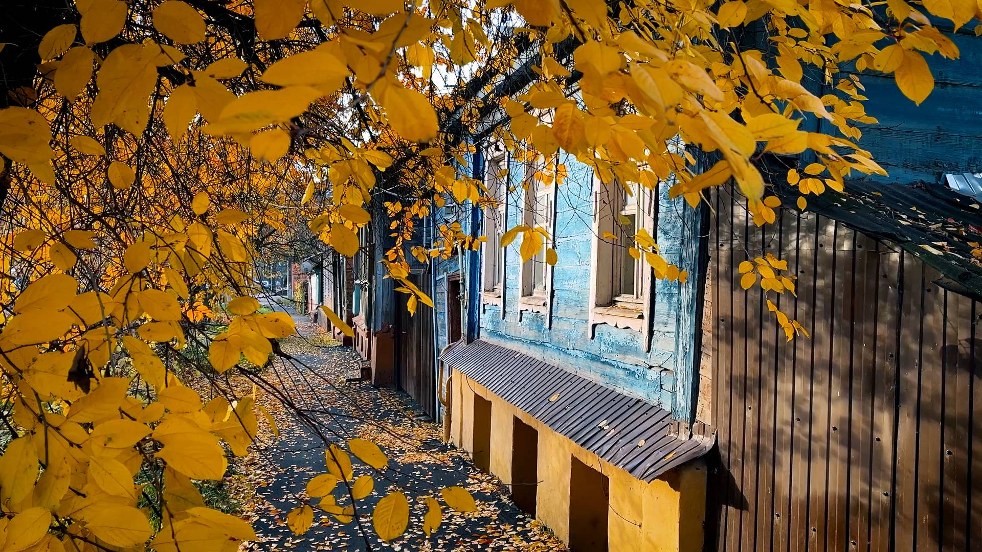 Ноябрьское солнце. Курск. смотреть онлайн