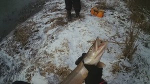 Рыбалка на 7 ноября 25 год