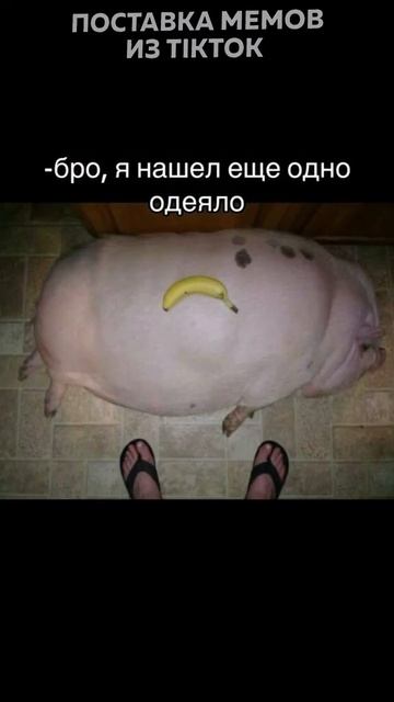 Лето Солнце жара |Свежие Мемы из TikTok в Shorts! #nikkat #мем #новости#дрейк смотреть онлайн