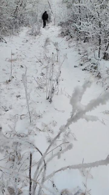 Заброшенное село Коритньак, Пресклан Shot смотреть онлайн