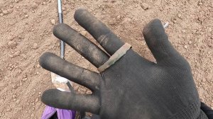 Много говорю, ищу древнее поселение.