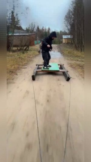 Прикол. Гонка на санях без снега