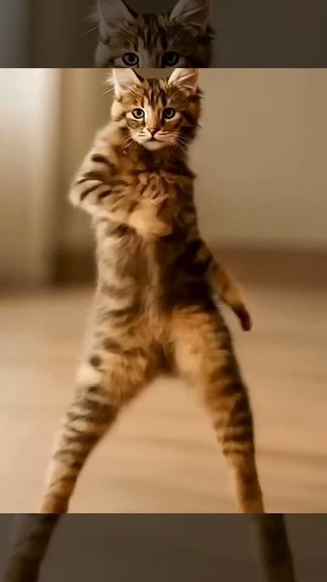 Танцующая кошка — AI-анимация в миниатюре 🐾✨